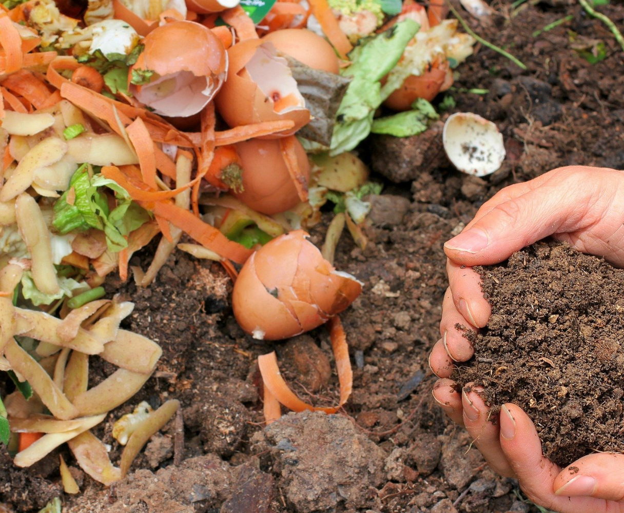Conseils pour réaliser son compost