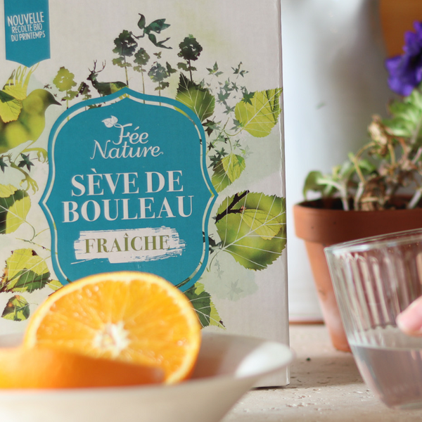 La sève de bouleau : l'élixir du printemps