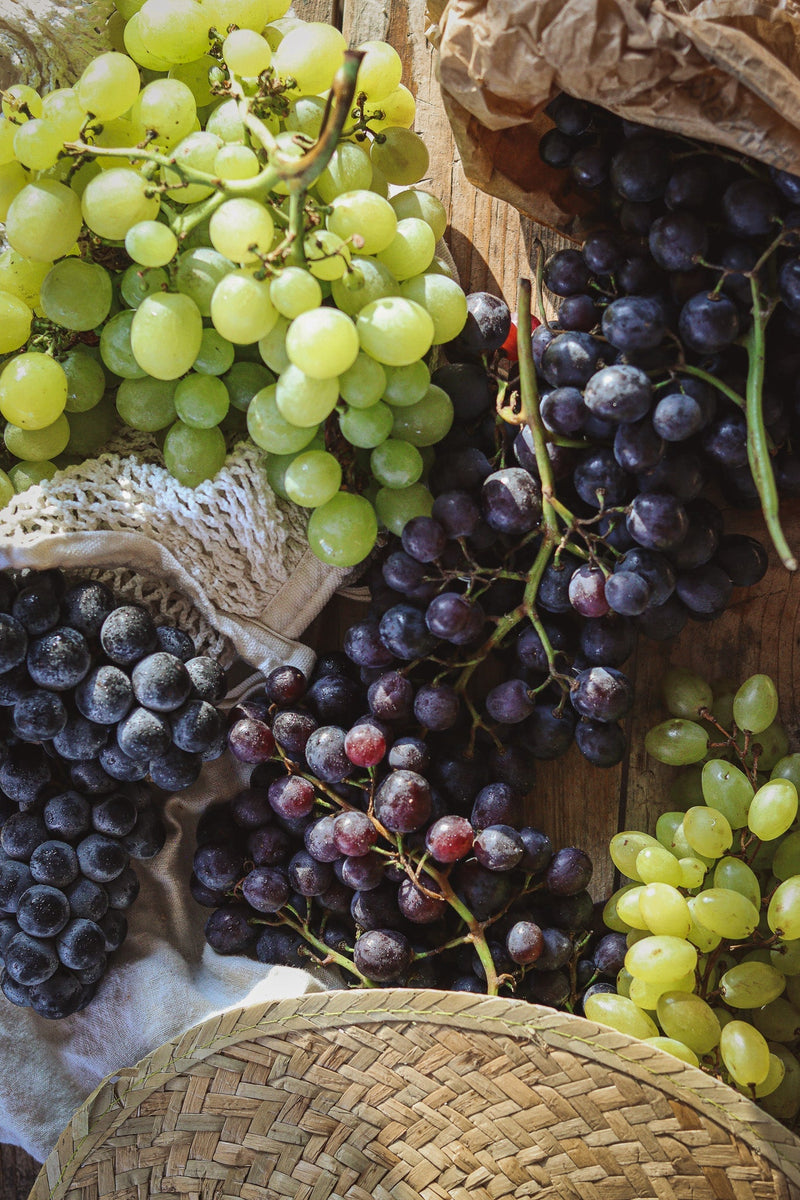 La cure de raisin, pour une rentrée en pleine forme !