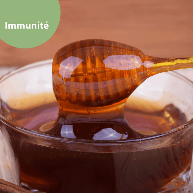 Le miel : produit incontournable pour renforcer l'immunité