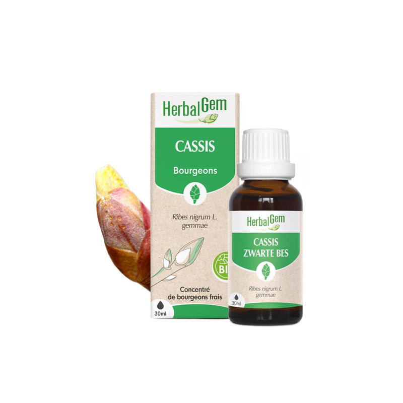 Cassis Bio