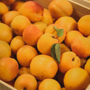 Préparation d'abricot 100% fruits