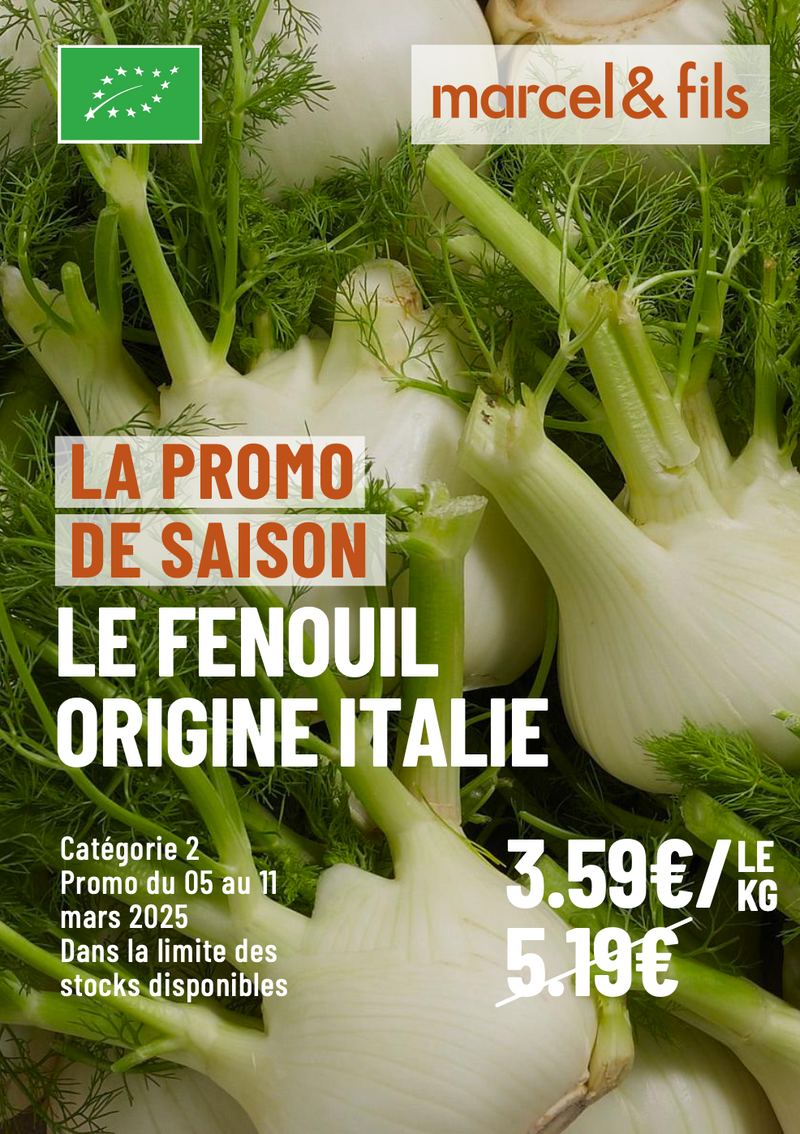 Le fenouil