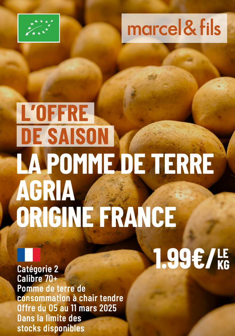 Pomme de terre Agria bio