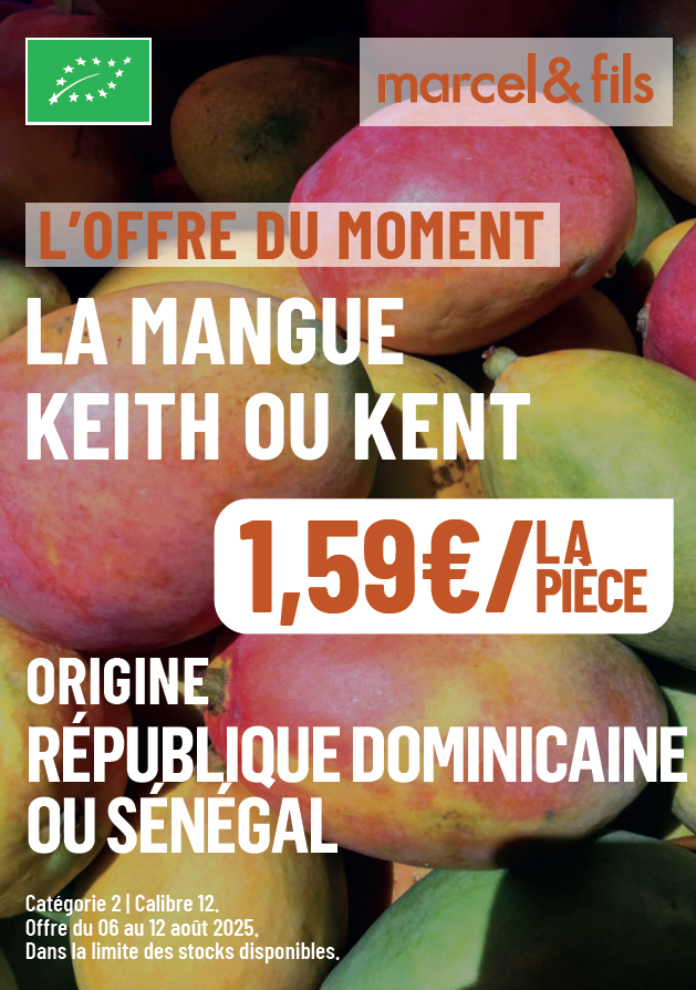 Mangue Kent