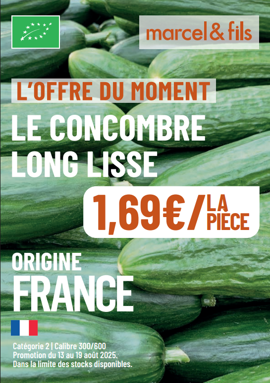 Concombre long lisse