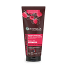 BAUME APRES SHAMPOING FRAMB 200ML