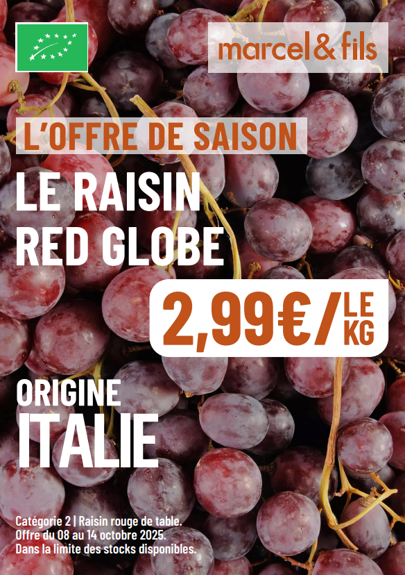 Raisin red globe