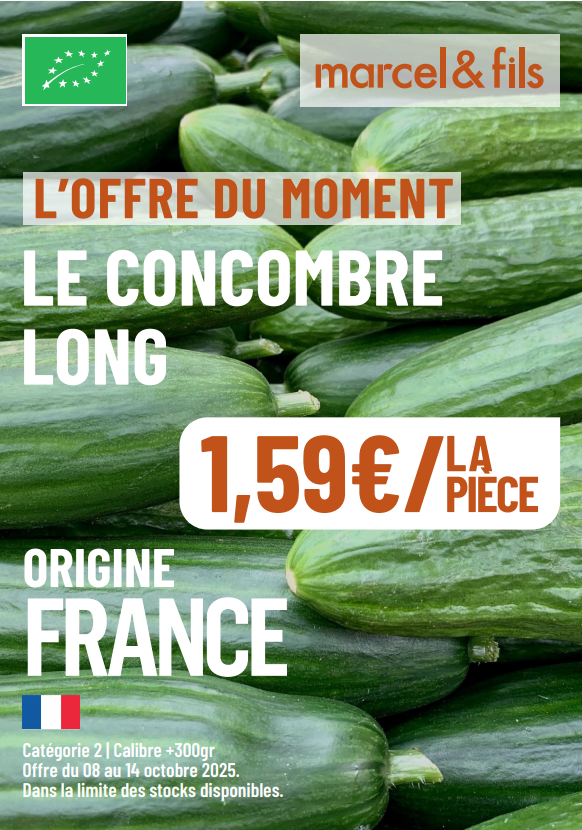 Concombre long
