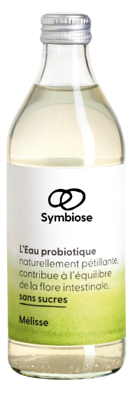 INFUSION PROBIO MELISSE CITRON 33CL