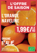 L'orange naveline