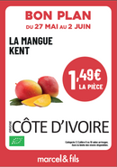 Mangue Kent