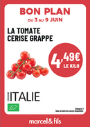 Tomate cerise grappe