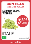 Raisin blanc Vittoria