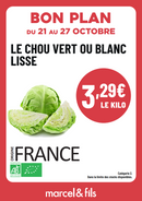 Chou lisse vert ou blanc