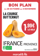 Courge Butternut