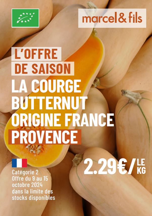 Courge butternut bio