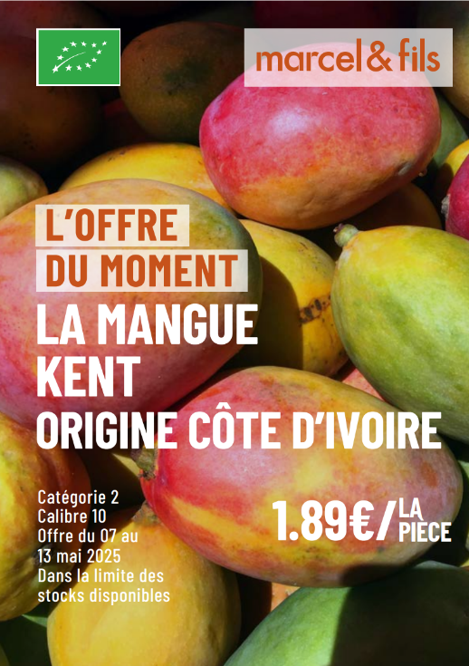 La mangue kent