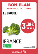 Brocoli vert