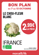 Chou-fleur Blanc