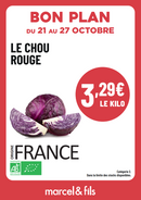 Chou rouge bio