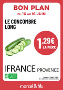 Concombre long lisse