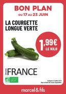 Courgette longue verte