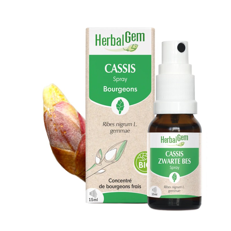 CASSIS SPRAY BIO 15ML