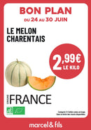 Melon Charentais