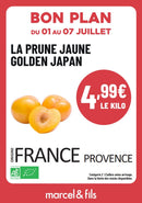 Prune Jaune Golden Japan