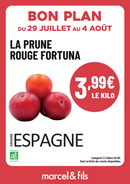 Prune rouge fortuna