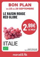 Raisin red globe
