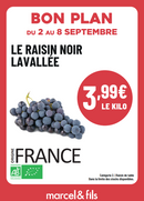 Raisin Alphonse Lavallée