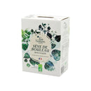 Sève de bouleau fraîche - 5L