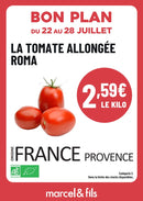Tomate allongée Roma